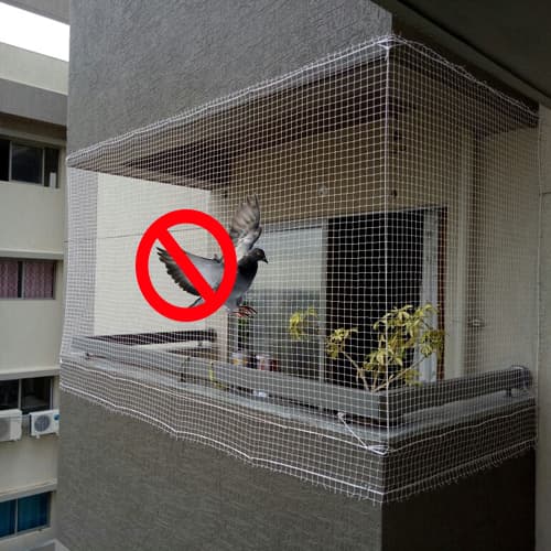 Pigeon Nets